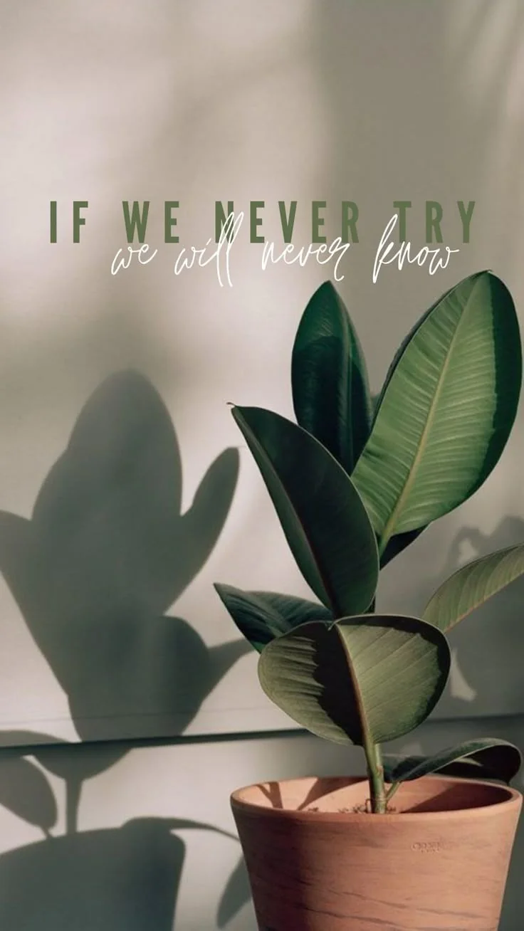 The Lento Way Slide 3